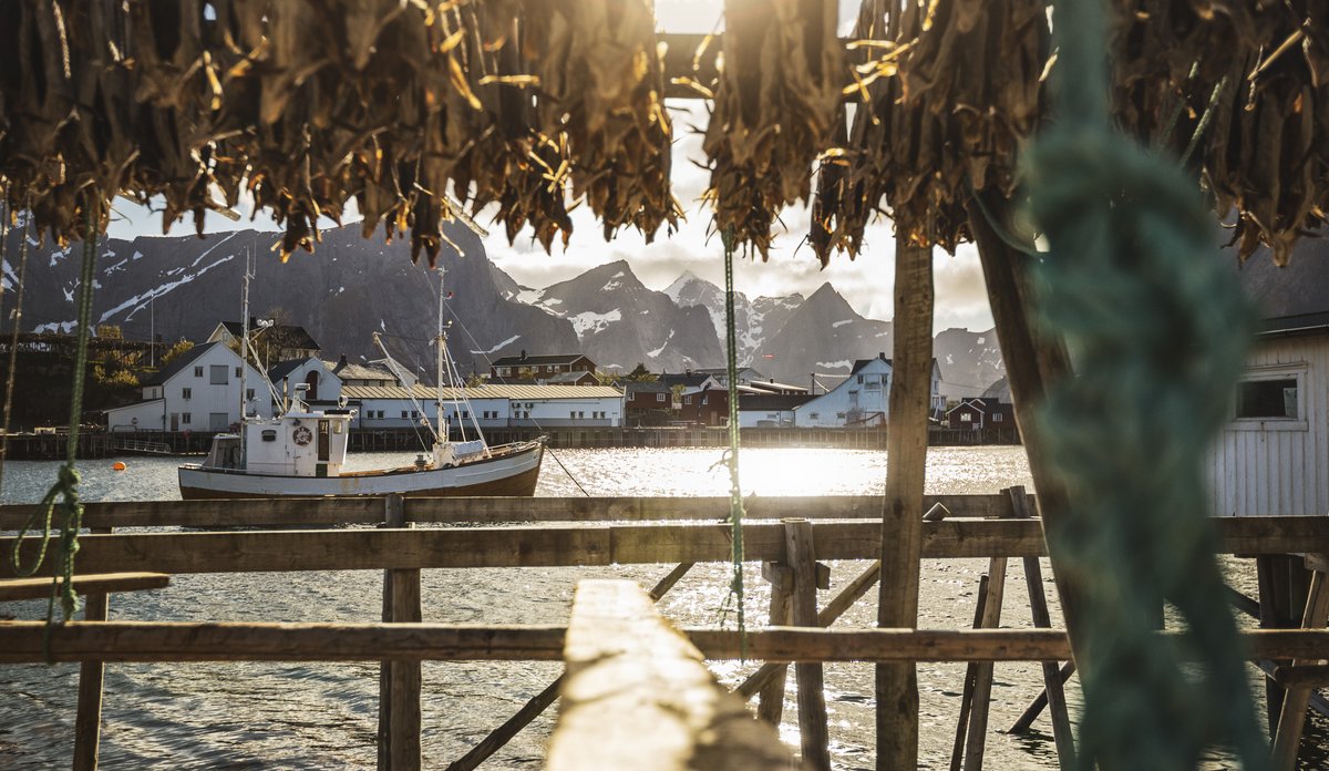 
utsikt mot sjø med båt