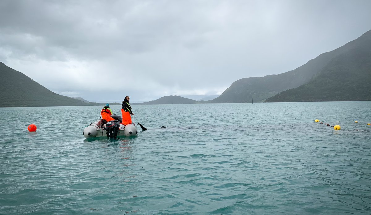 
to personer setter garn i fjorden fra liten gummibåt