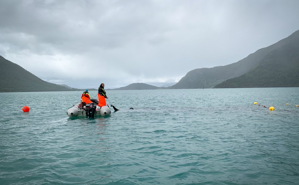 to personer setter garn i fjorden fra liten gummibåt