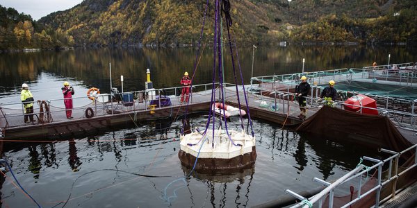 

En kuppelmerd blir senket ned under vannoverflaten