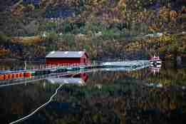 Sjøanlegg med et rødt hus og oppdrettsmerder, og en kranbåt som ligger inntil. Høstfarget fjellside i bakgrunnen.