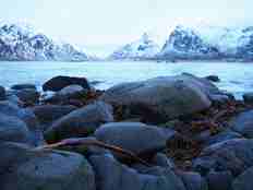Også naturen selv river opp tang og tare. I Flakstad i Lofoten ligger stortare skylt på land av store bølger. Foto: Liv Eva Welhaven Løchen