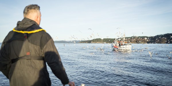 

fiskebåt langs kysten