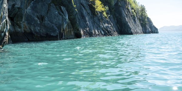 

Tre bilder sett saman. Eine bilete er eit kartutsnitt som viser vest-Noreg, det andre er syner vassoverflata av ein turkisfarga fjord og det tredje er eit mikroskopbilde av ein kalkalge.
