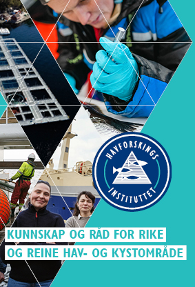 Liten HI-brosjyre 2023 på nynorsk