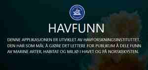 Logomateriell for havfunn.no