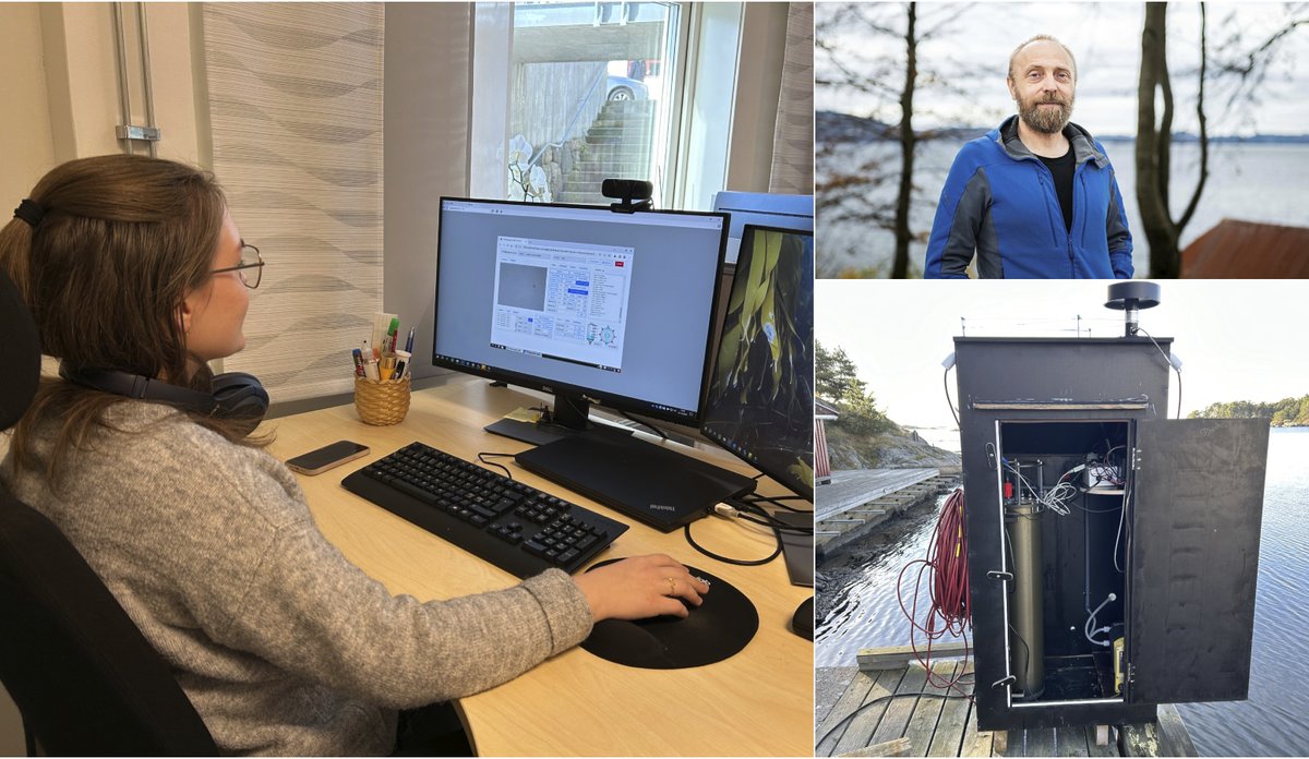 
Hege Skaar Lars Johan Naustvoll KI Alger montasje