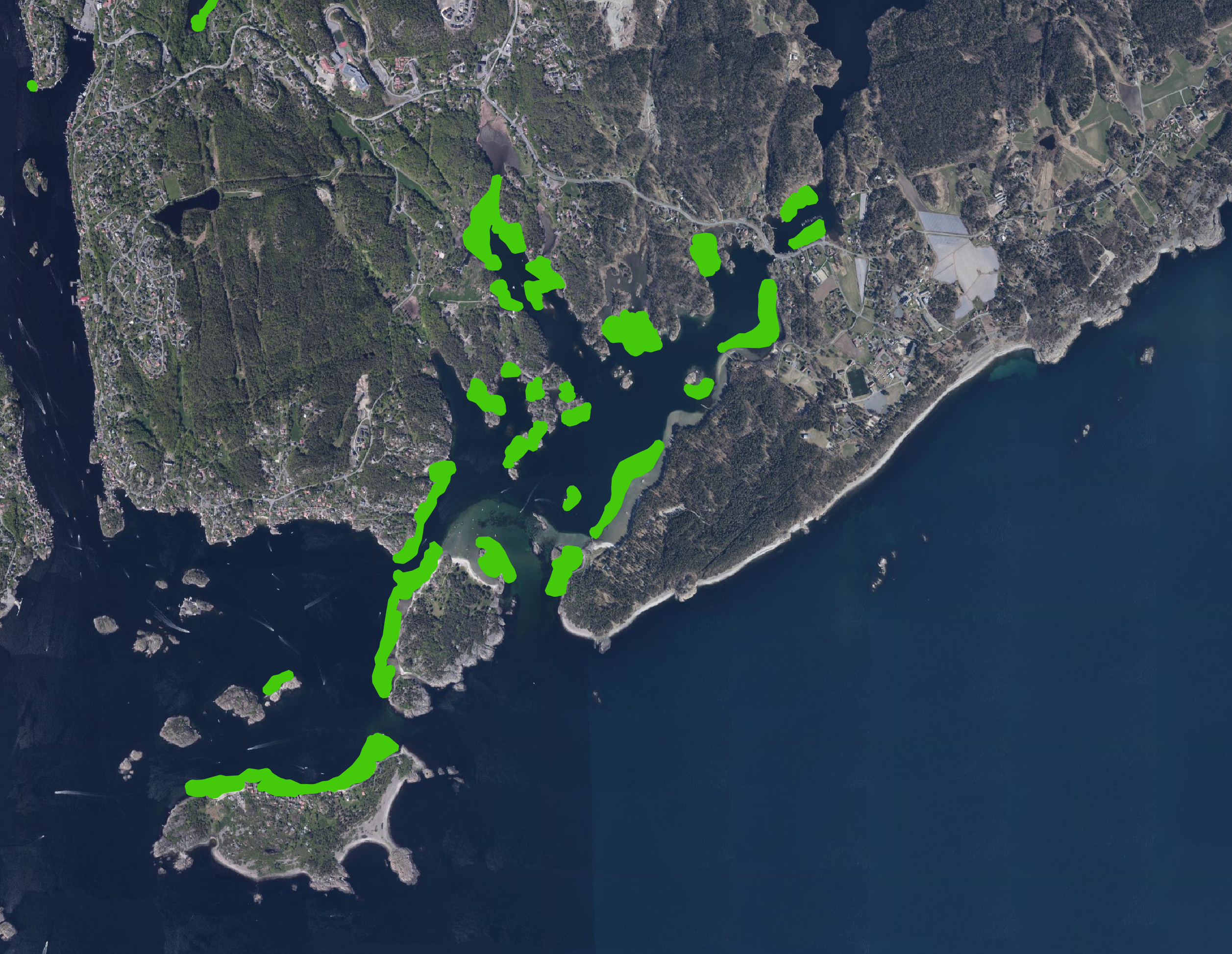 Satelitt foto over område der mange bukter er markert med grøn.