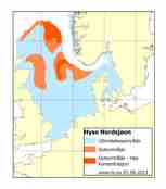 Utbredelseskart for hyse i Nordsjøen