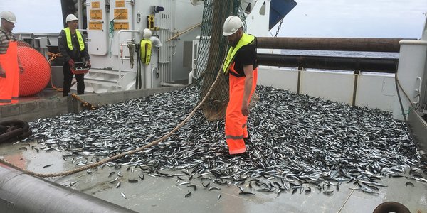 

Tokt Nansen