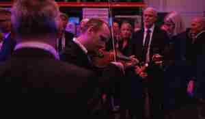 foto av person som spiller på fele