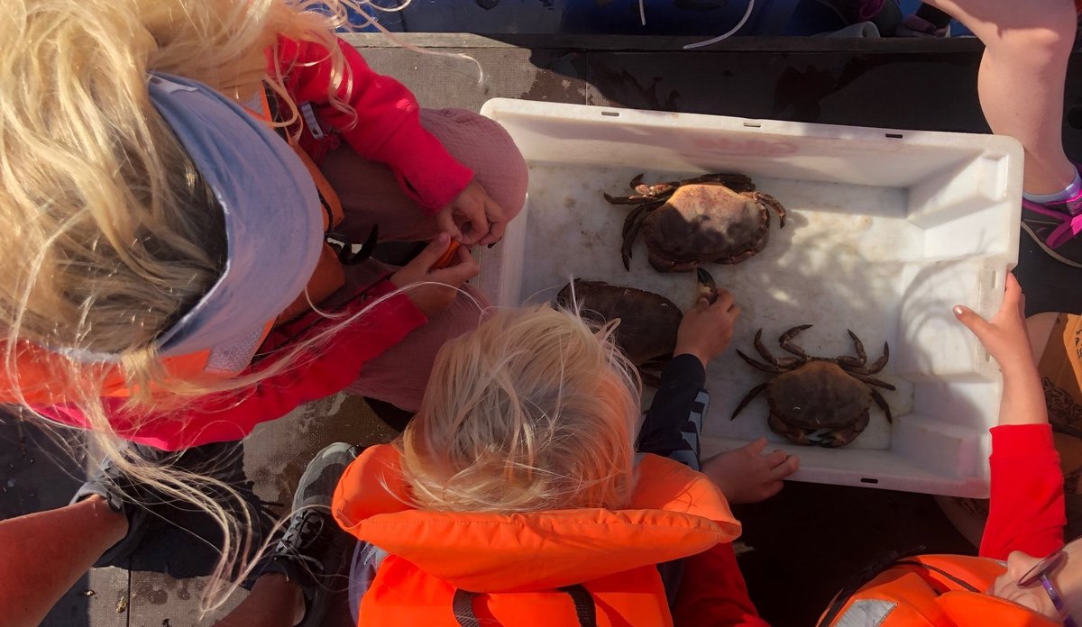 Småbarn iført redningsvest og voksen kvinne fotografert ovenfra og ned over trau med krabber ombord i båt. 