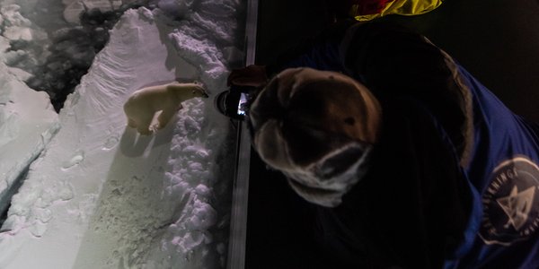 

Andreas Wolden med kamera i isødet web