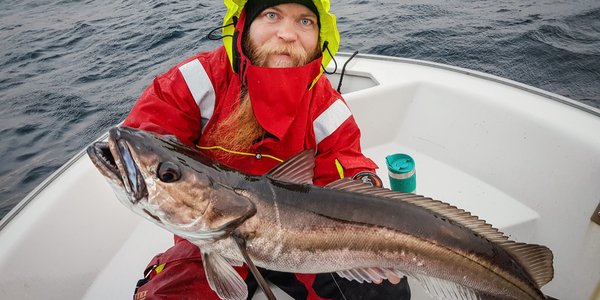 

En kollasj med fire bilder: En kvinne i lab som tar avføringsprøver i en petriskål, en hummer på en kai med tommestokk og notatblokk, en stor fiskefelle av metall i en elv og en stor fiskekjeft med en annen fisk og krok i gapet.