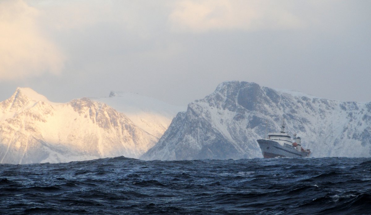 
Fotografi av skipet Johan Hjort til havs