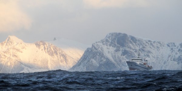 Fotografi av skipet Johan Hjort til havs