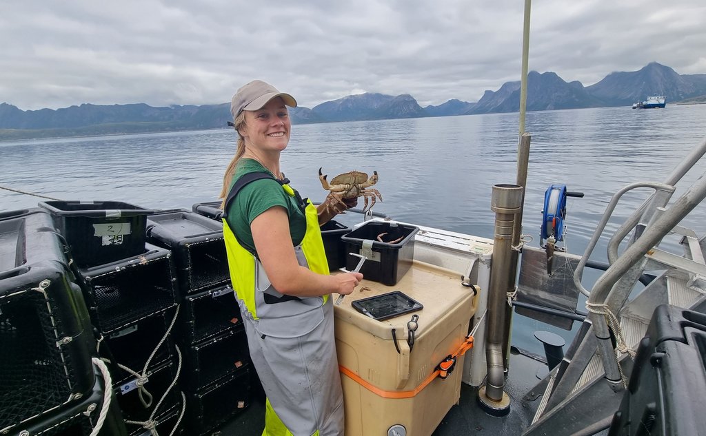 Forsker på dekk med fiskebukse, måleutstyr og krabbe i hånda. Fjord og fjell i bakgrunnen