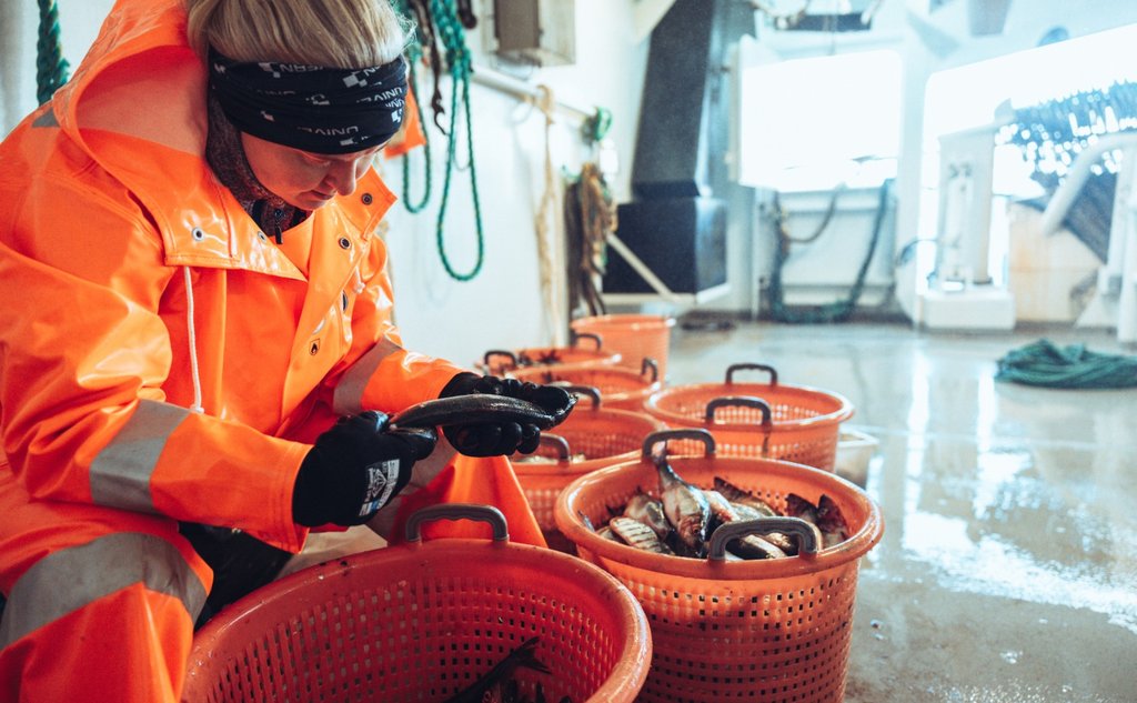 Kvinne i oransje arbeidsklær sitter på et skipsdekk og undersøker fisk som ligger i røde plastkurver
