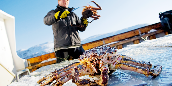 

Kongekrabbe på dekk på en fiskebåt, en fisker står i bakgrunnen på bildet. 