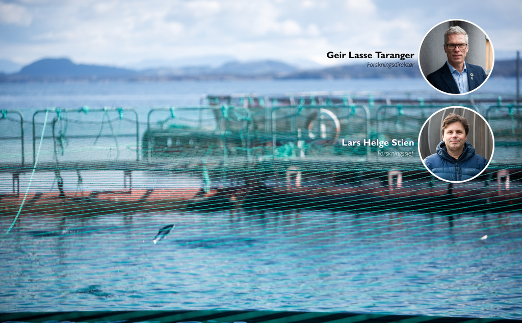 Kollasj som viser oppdrettsmerder i sjø. I høgre hjørne er to rundinger: i øverste runding er et portrettbilde av forskningsdirektør Geir Lasse Taranger. I den underste bilde er forskningssjef Lars Helge Stien
