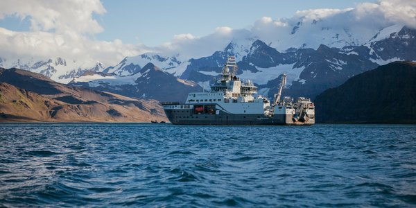 Kronprins Haakon utenfor Grytviken