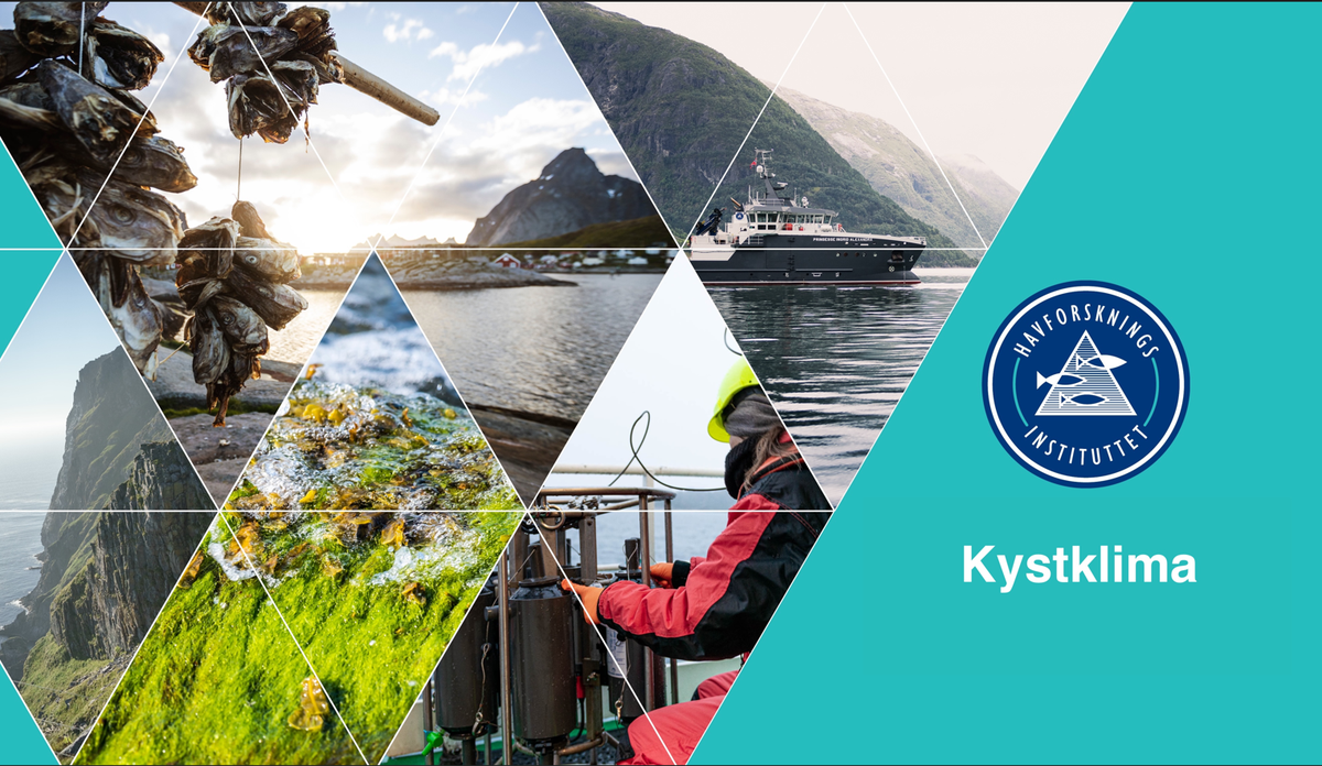
montasje av kyst og fjord og fartøy 