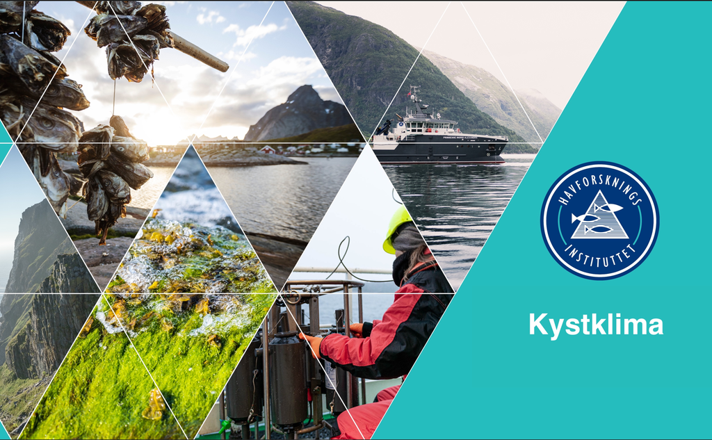 montasje av kyst og fjord og fartøy 