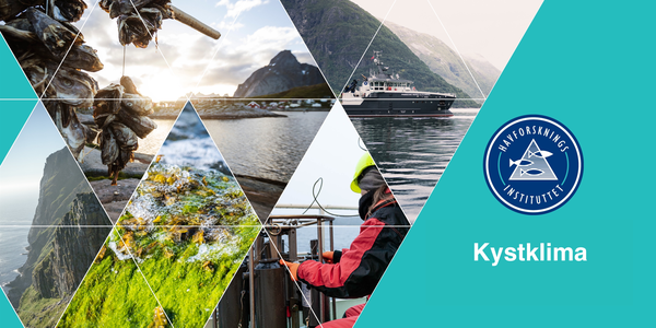 

montasje av kyst og fjord og fartøy 