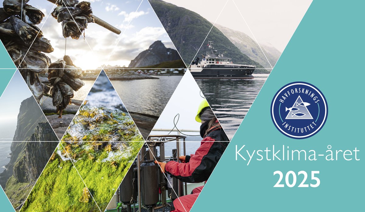 
bildemontasje av kyst, folk, skip og fuglefjell