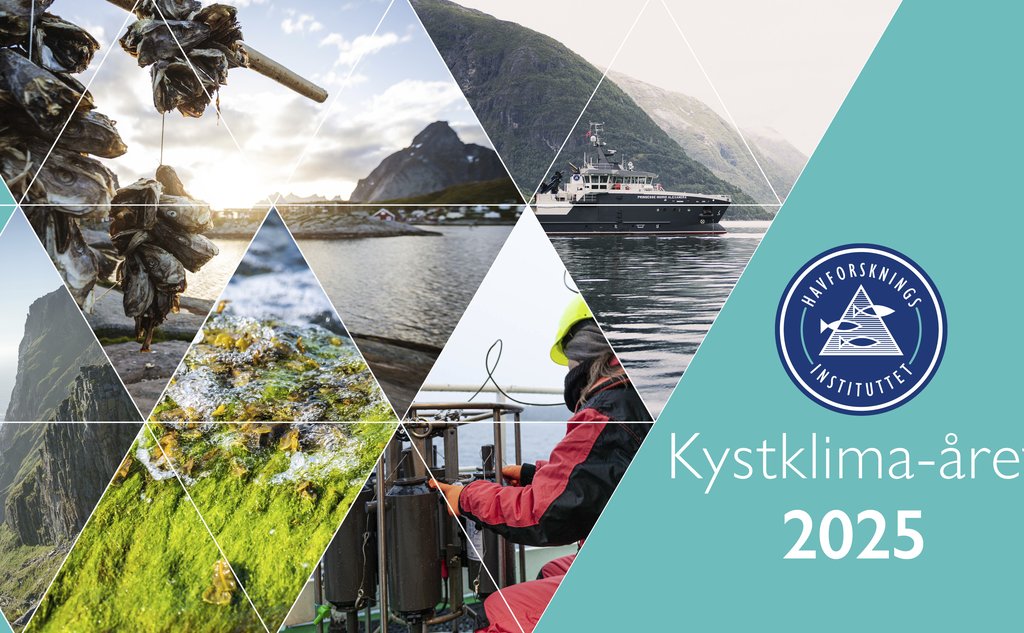 bildemontasje av kyst, folk, skip og fuglefjell