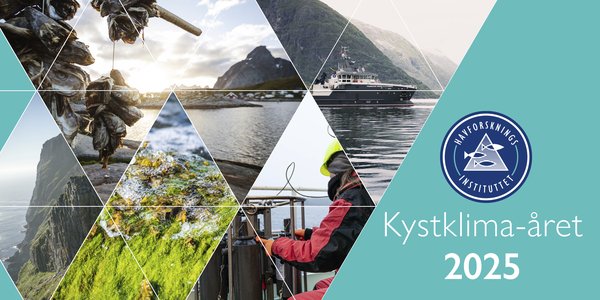 

bildemontasje av kyst, folk, skip og fuglefjell