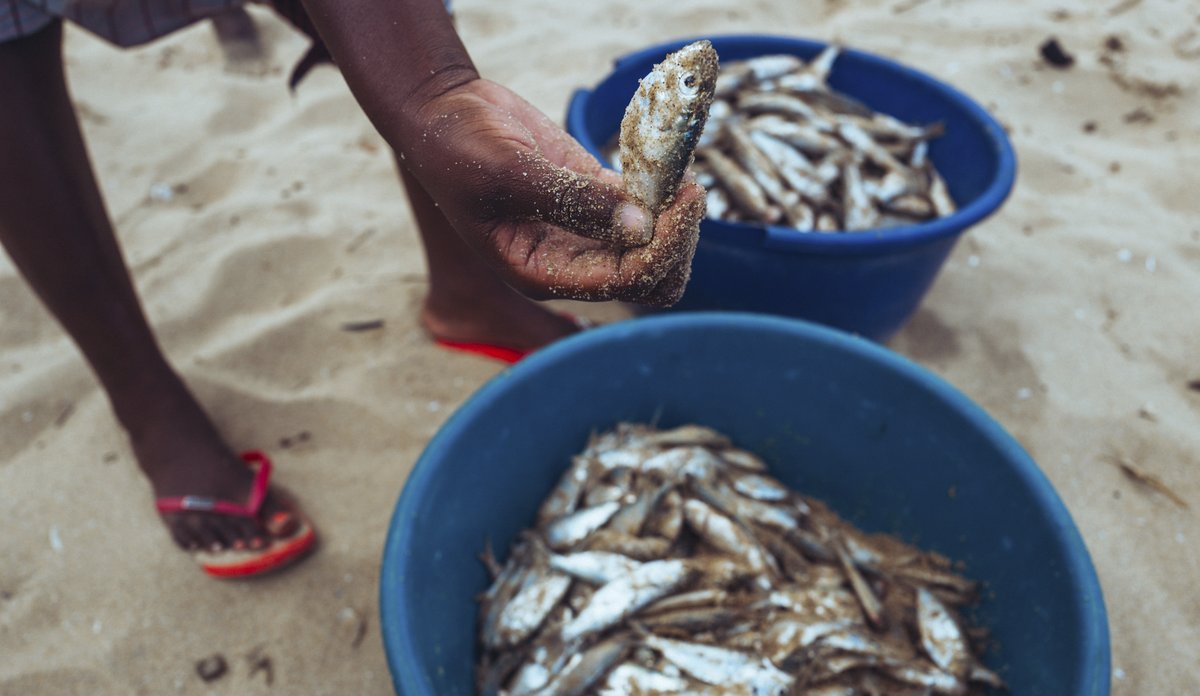 man har fisk i hånda