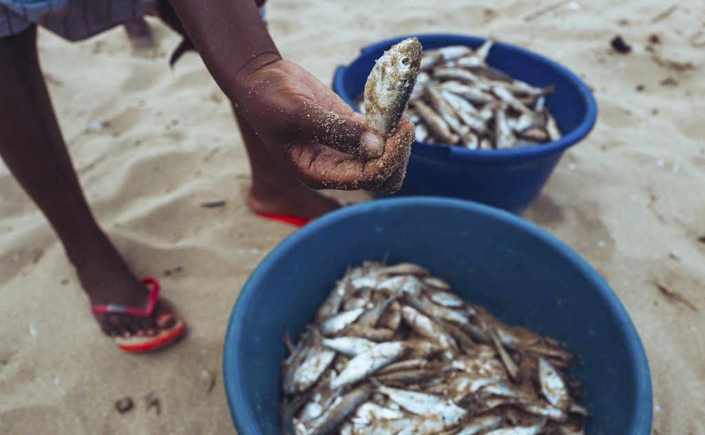 man har fisk i hånda