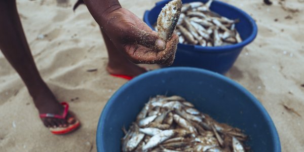 

man har fisk i hånda