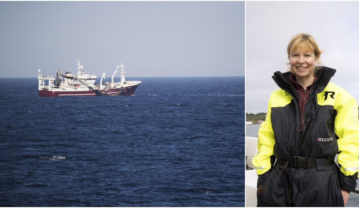 
fiskebåt på havet og portrett av kvinne i kjeledress 