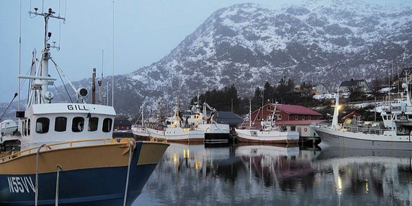 Lofoten Napp .jpg