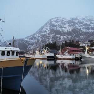 Fiskebåter til kai i Lofoten 