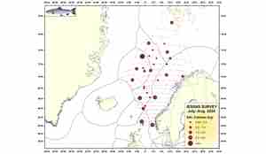 Makrell fangster Kings Bay og Vendla makrell økotoktet 2020