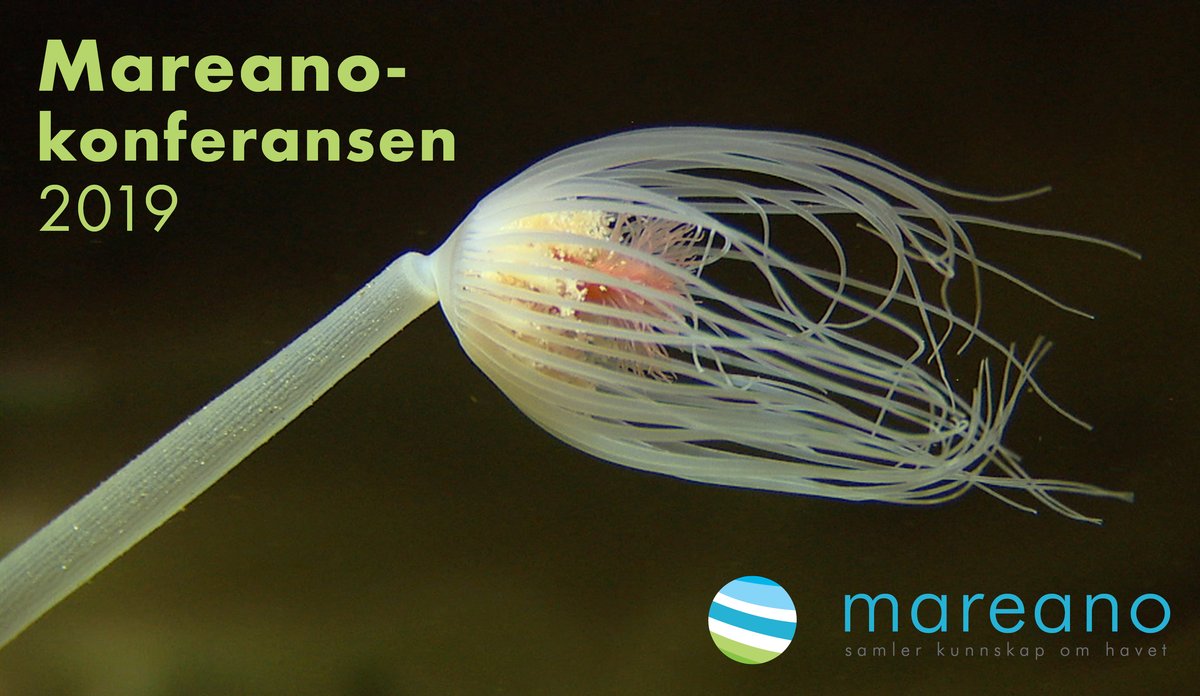 
Mareano konferansen 2019
