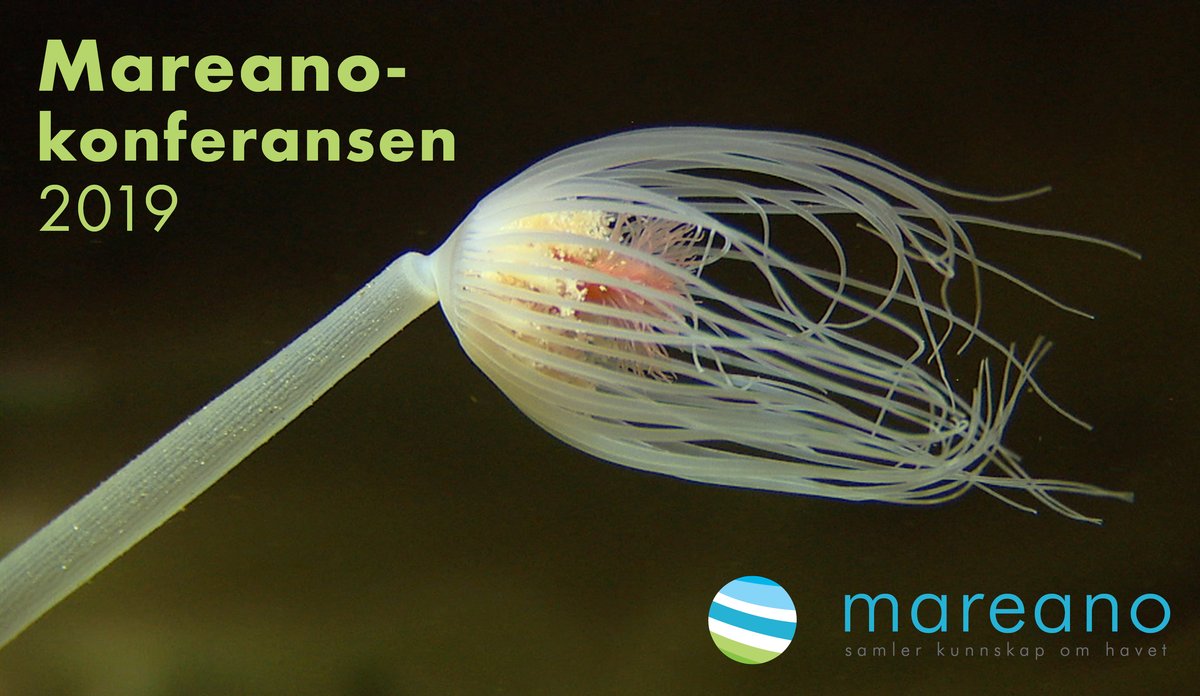 
Mareano konferansen 2019