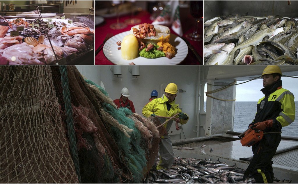 Øverst til venstre ser vi en bugnende fiskedisk fra et søreuropeisk land. Vi ser blant annet rosa og hvite fiskefileter, diverse skjell og belkksprut. I midten ser vi klassisk norsk juletorsk med bacon, potet, rabbestabbe og knallgrønn ertepuré på en hvit tallerken. Oppe til høyre er det nærbilde av torskefangst på dekk. Nedre halvdel av bildet viser en solid makrellfangst som hales inn på dekk.