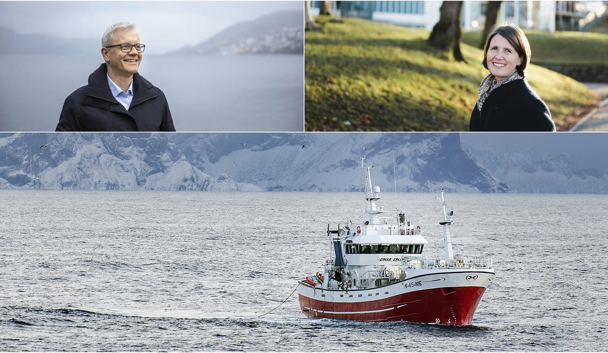 
Øverst til venstre er havforskningsdirektøren i profil, med lyseblå skjorte og mørkeblå frakk i overskyet vær. Byfjorden i Bergen i bakgrunnen. Oppe til høyre er Ceilie Hansen i profil, med svart kåpe og storprikkete sjal. Hun er knipset i sollys, med gress og trære i bakgrunnen. Nederst ser vi en fiskebåt som setter snurrevad i Lofoten, men snødekte fjell i bakgrunnen. 