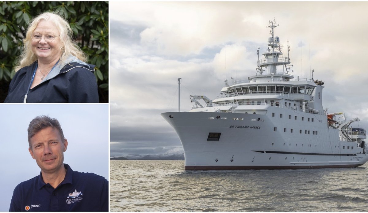 
En montasje med tre bilder, av Ann-Lisbeth Agnalt, Erik Olsen og forskningsskipet Dr. Fridtjof Nansen.