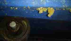 Mosdyr på blå brygge fotografert under vann