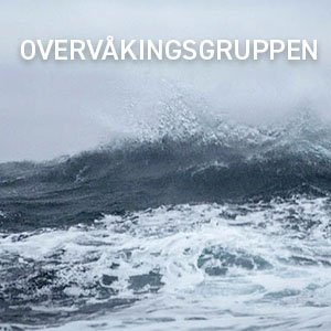 OVERVÅKINGSGRUPPEN_300x300.jpg