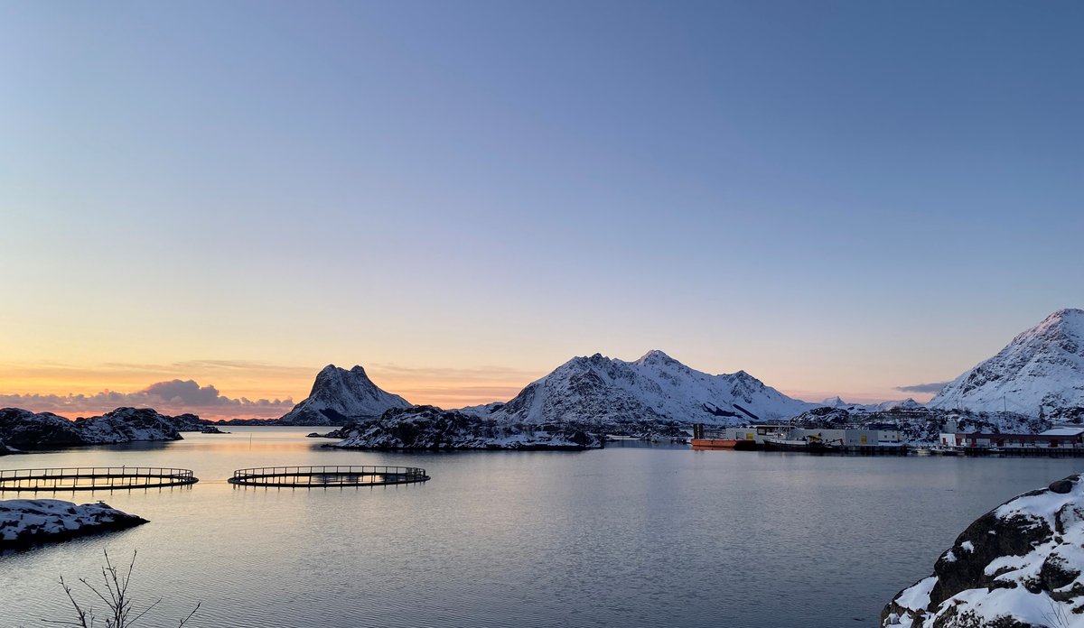 
Sjø med oppdrettsanlegg, fjell i bakgrunnen, snø og dunkelt lys.