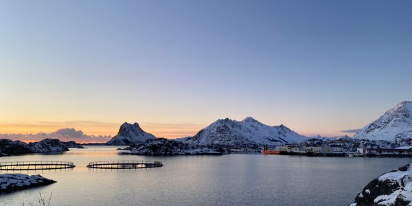 

Sjø med oppdrettsanlegg, fjell i bakgrunnen, snø og dunkelt lys.