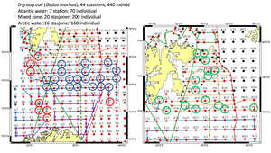Overview of the 44 stations where 0-group cod have been collected