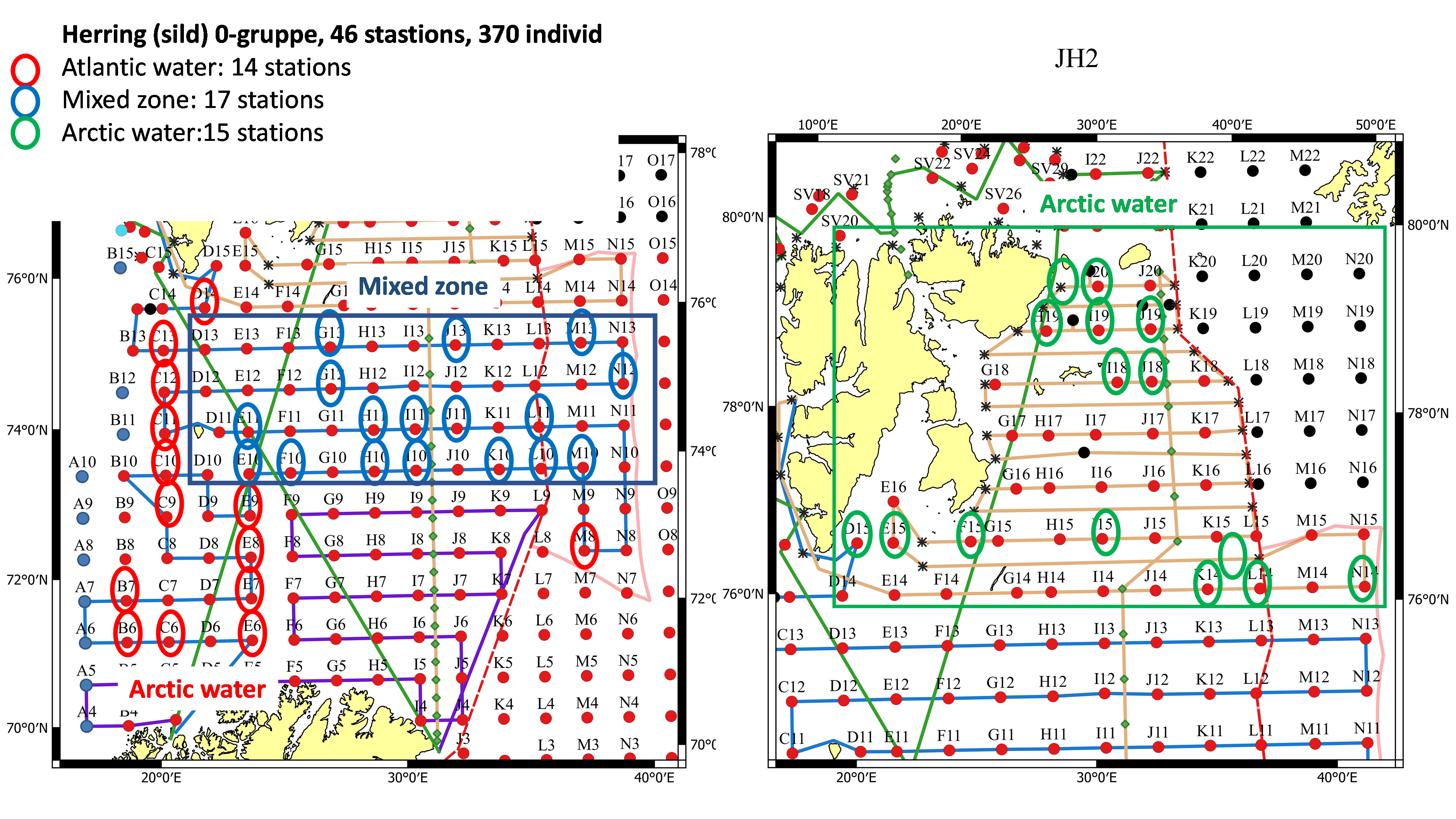 Overview of the 46 stations where herring o-group fish have been collected.