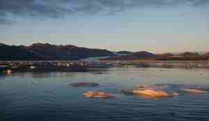 Kongsfjorden badet i mykt sollys